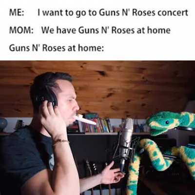 Guns N' Roses at home