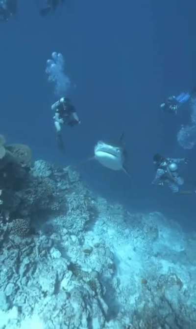 Maybe maybe maybe