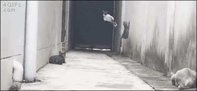 Synchronizing startle