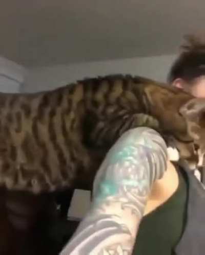 "He Loves Her"