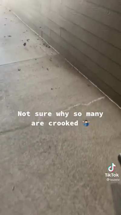 This guy fixes peoples doormats with a leaf blower