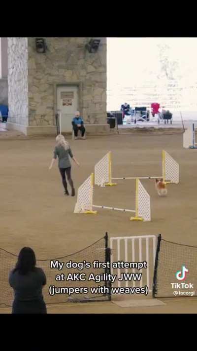 The sound effects ?