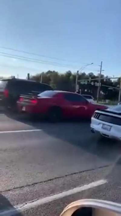Nothing to see here....just another blithering idiot with a mustang