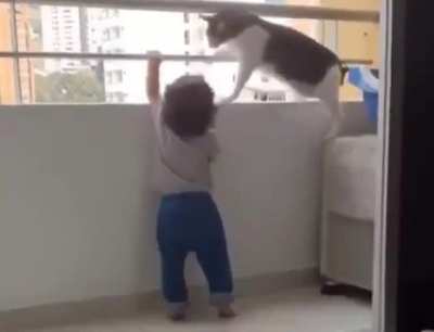 You know your child is safe with this cat