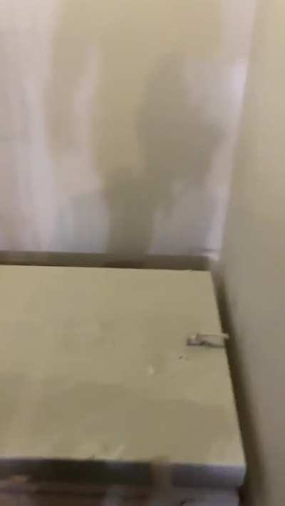 IRL moon door.