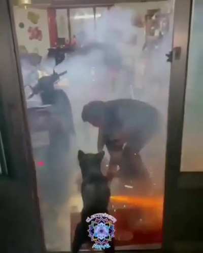 Pyromaniac dog