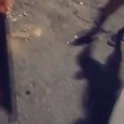 Handshake