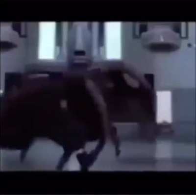 Pew Pew-