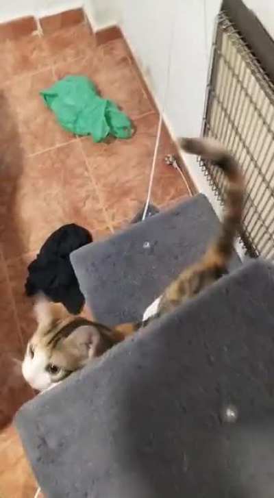 She thinks yelling makes food arrive faster... and she's right!