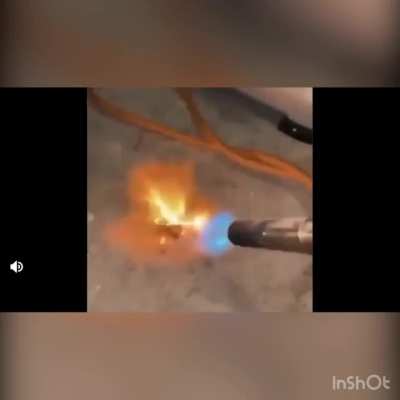 Little guy. (from r/AbruptChaos