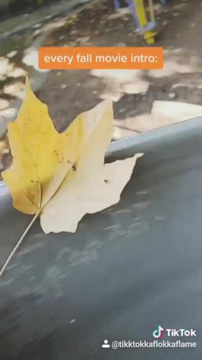 Every Fall Movie Intro