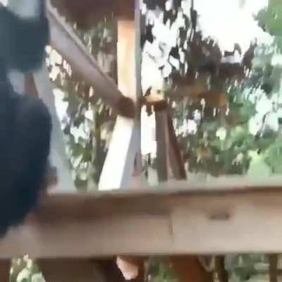 Monkeybro helps out