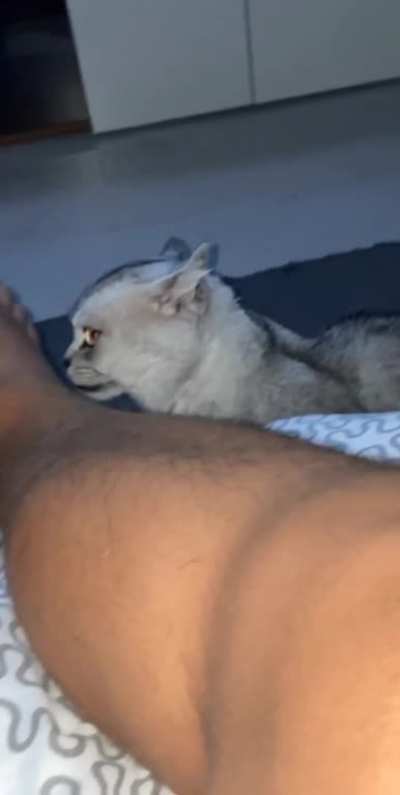 Why?