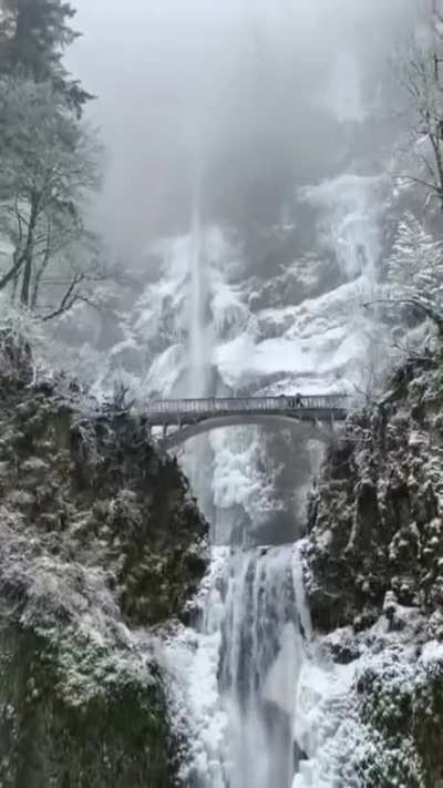 ? Multnomah Falls is the tallest waterfall in the state of Oregon.