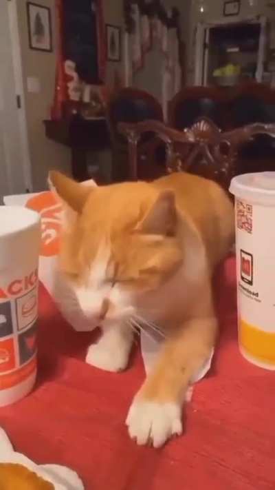 slo-mo thief