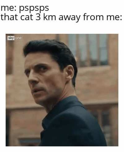 Maybe I am a cat.
