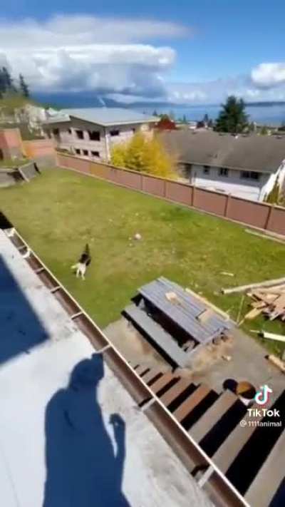 I had two heart attacks watching this