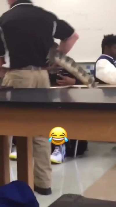 Zoo meets classroom ?