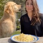 Mr. Steal Your Food