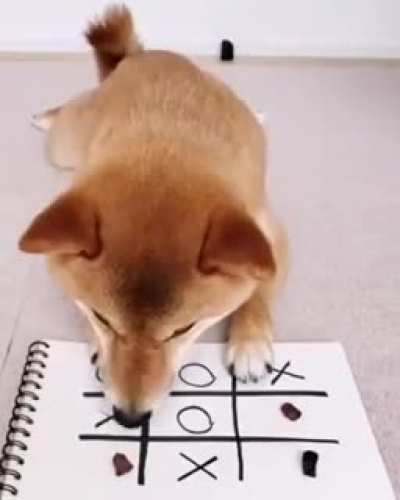 He mastered tic-tac-toe