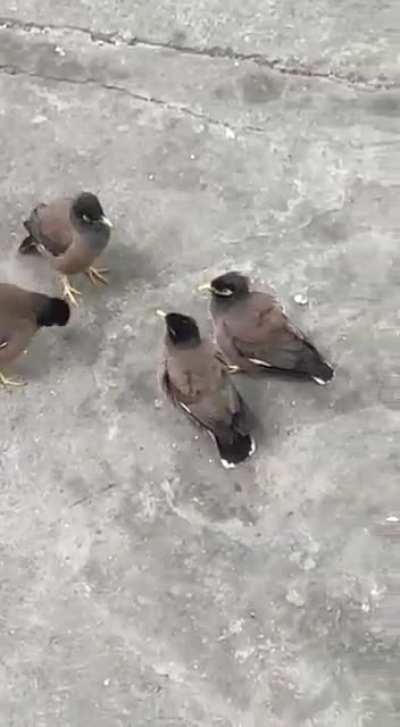 Wonder what's the discussion about ?
