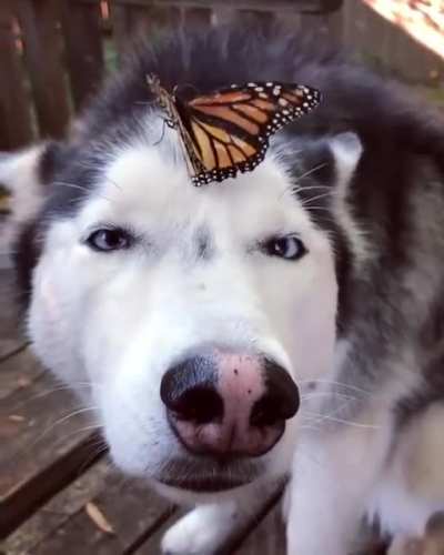 "Am.. Am I a Disney Princess now?"