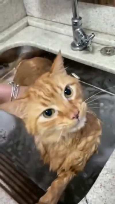 (Sound on)