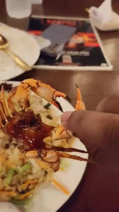 The little guy is not a fan of seafood