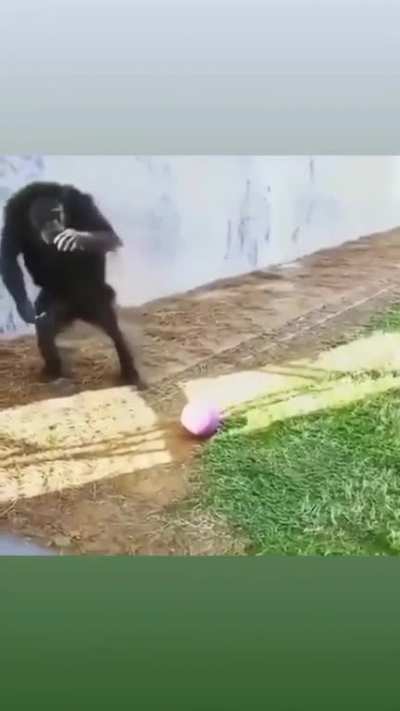 Maybe maybe maybe