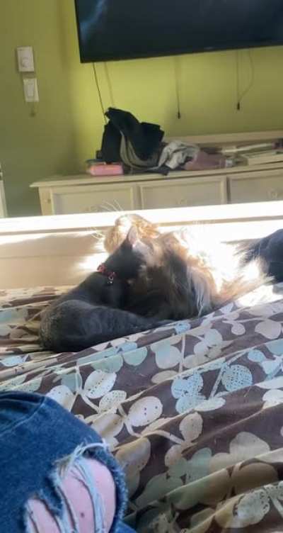 He’s had enough ?