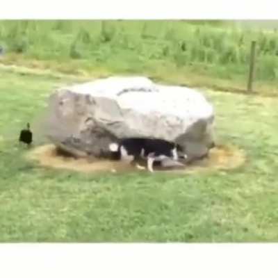 Around the rock ?