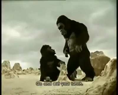 This ad ???