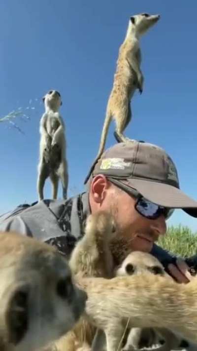 ? When you are a wildlife photographer the goal is to blend in with your surroundings so that you don't scare off the animals