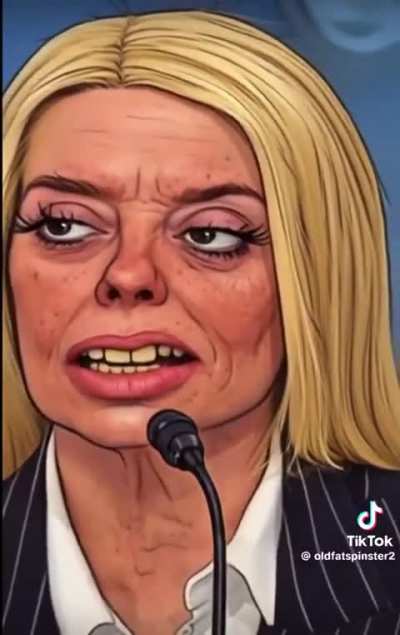 Pammy Bondi Testimony — Who Did This??