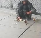 The rat king