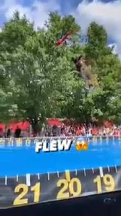Dog's massive jump