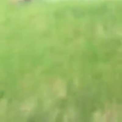 HMB while a get steamrolled by a bale of hay