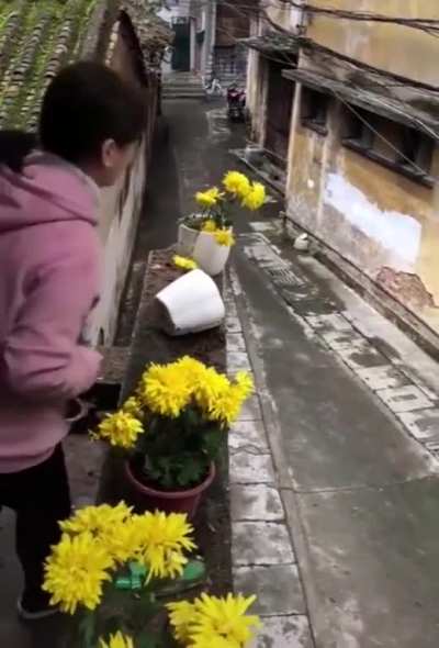 Oh, so satisfying