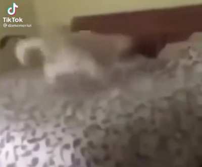 Brown sheets