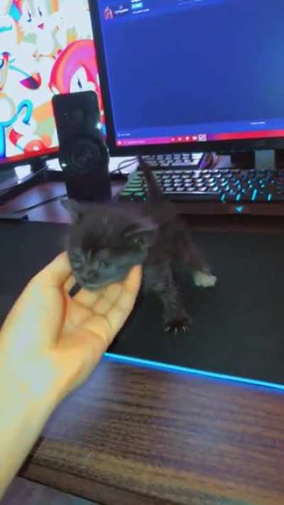 gaming crimes