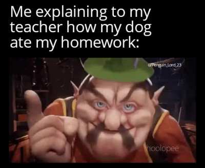 "I thought you didn't have a dog"