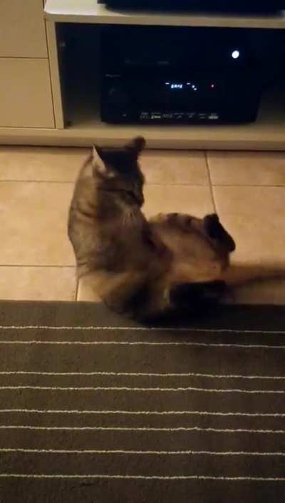 Unintentional flip. "WTF just happened?"