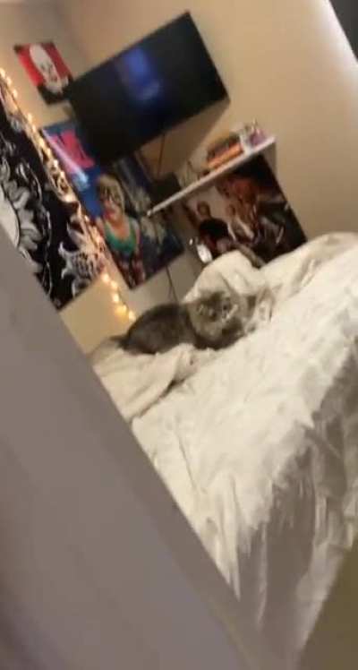 I've been caught