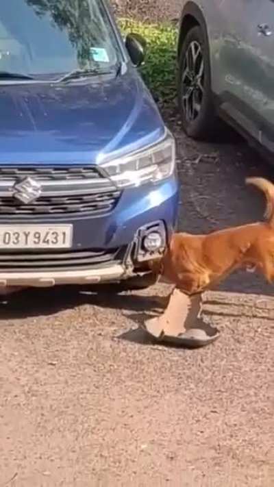 He did succeed