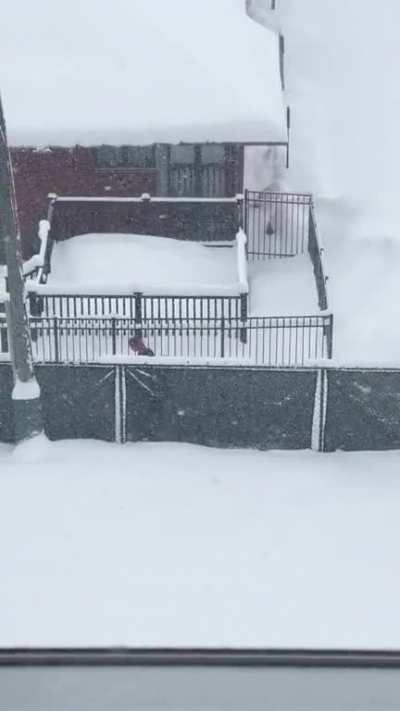 I looked out my window to check out the storm this morning and saw some dudes poking their fingers in things, as guys will do.