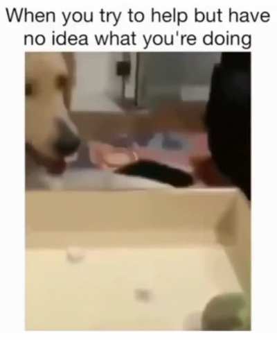 To play the game properly ?