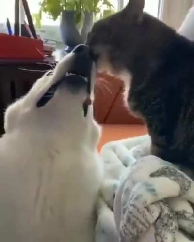 BFF ??