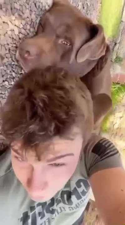 We don't deserve doggos ?