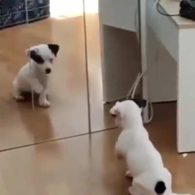 the first time in the mirror. ???