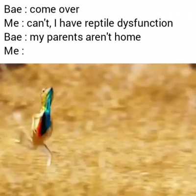 Here I coooome